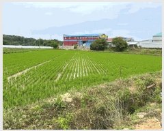  2025Ÿ��31262  ����