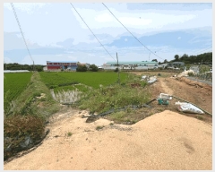  2025Ÿ��31262  ����