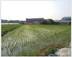  2025Ÿ��31262  ����