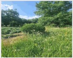  2025Ÿ��31288  �����