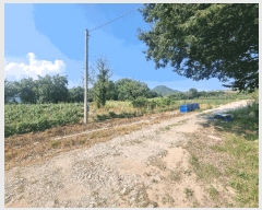  2025Ÿ��31288  �����