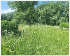  2025Ÿ��31288  �����