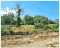  2025Ÿ��31288  �����