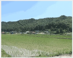  2025Ÿ��31324  ����