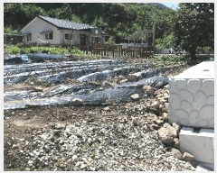  2025Ÿ��31324  ����