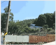  2025Ÿ��31324  ����