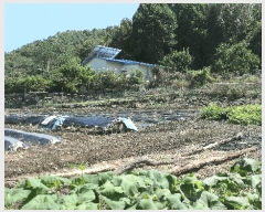  2025Ÿ��31324  ����