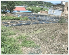  2025Ÿ��31324  ����