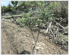  2025Ÿ��31324 ���� ���ֱ� ����� ���긮 504-1      ����(����)���