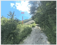  2025Ÿ��31475 ���� ���ȱ� ��õ�� ����� 487      ����(��)���