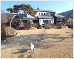  2025Ÿ531  ֽ  Ƶ1 351-1      ð