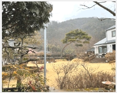  2025Ÿ531  ֽ  Ƶ1 351-1      ð