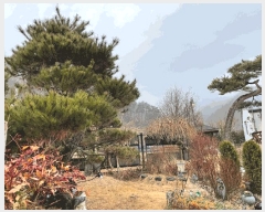  2025Ÿ531  ֽ  Ƶ1 351-1      ð