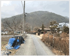  2025Ÿ531  ֽ  Ƶ1 351-1      ð