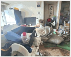  2025Ÿ��555  ����Ʈ���