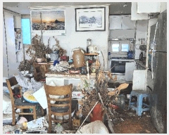  2025Ÿ��555  ����Ʈ���