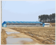  2025Ÿ��557  �Ӿ߰��