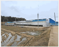  2025Ÿ��557  �Ӿ߰��