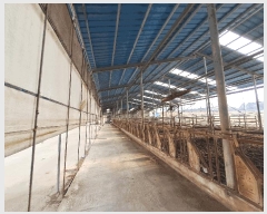  2025Ÿ��557  ���(�󰡽ü�)���