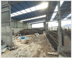  2025Ÿ��557  ���(�󰡽ü�)���