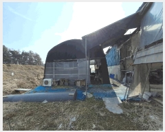  2025Ÿ��557  ���(�󰡽ü�)���