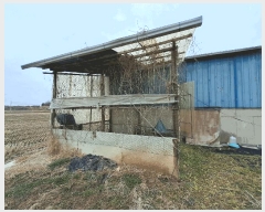  2025Ÿ��557  ���(�󰡽ü�)���