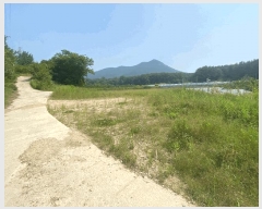  2025Ÿ��713 ���� ���ֱ� ������ ���ϸ� 1008-2      ����(��)���