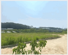  2025Ÿ��713 ���� ���ֱ� ������ ���ϸ� 1008-2      ����(��)���