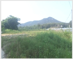  2025Ÿ��713 ���� ���ֱ� ������ ���ϸ� 1008-2      ����(��)���