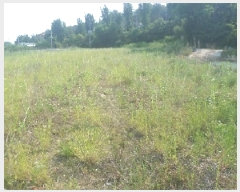  2025Ÿ��713 ���� ���ֱ� ������ ���ϸ� 1008-2      ����(��)���