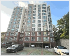  2025Ÿ��775  ����Ʈ���