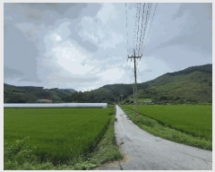  2025Ÿ858  ӽǱ Ŵ ︮ 53-1      (Ӿ)