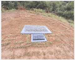  2025Ÿ858  ӽǱ Ŵ ︮ 53-1      (Ӿ)