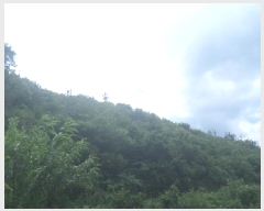  2025Ÿ858  ӽǱ Ŵ ︮ 53-1      (Ӿ)