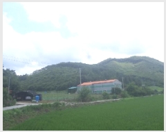  2025Ÿ858  ӽǱ Ŵ ︮ 53-1      (Ӿ)