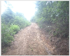  2025Ÿ858  ӽǱ Ŵ ︮ 53-1      (Ӿ)