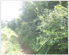  2025Ÿ858  ӽǱ Ŵ ︮ 53-1      (Ӿ)