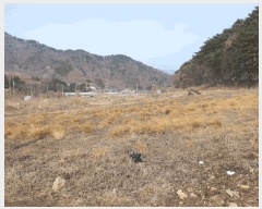  2025Ÿ��30972 ���� ���ֱ� ��õ�� �ɰ 415      ����(��)���