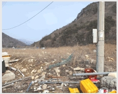  2025Ÿ��30972 ���� ���ֱ� ��õ�� �ɰ 415      ����(��)���