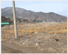  2025Ÿ��30972 ���� ���ֱ� ��õ�� �ɰ 415      ����(��)���