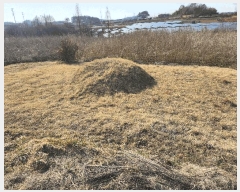  2025Ÿ��30986  �Ӿ߰��