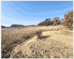  2025Ÿ��30986  �Ӿ߰��