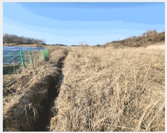  2025Ÿ��30986  �Ӿ߰��