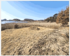  2025Ÿ��30986  �Ӿ߰��