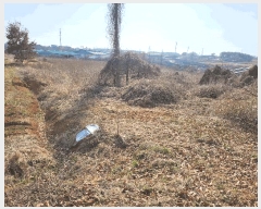  2025Ÿ��30986  �Ӿ߰��