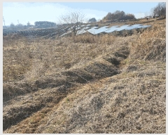  2025Ÿ��30986  �Ӿ߰��