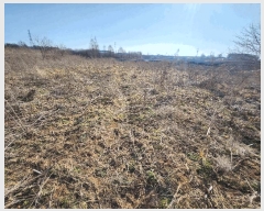  2025Ÿ��30986  �Ӿ߰��