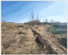  2025Ÿ��30986  �Ӿ߰��