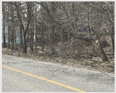  2025Ÿ��30998 ���� ���ȱ� ��õ�� �־縮 66-1      ����(��1)���