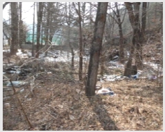  2025Ÿ��30998 ���� ���ȱ� ��õ�� �־縮 66-1      ����(��1)���